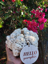 Load image into Gallery viewer, Chunky Crochet Popcorn Pumpkins Home Décor
