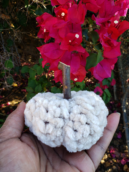 Mini Pumpkins Home Decor